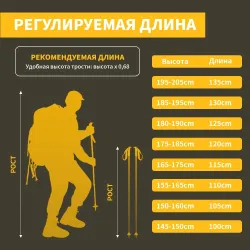 Bâtons de randonnée en carbone NATUREHIKE : légers et durables
